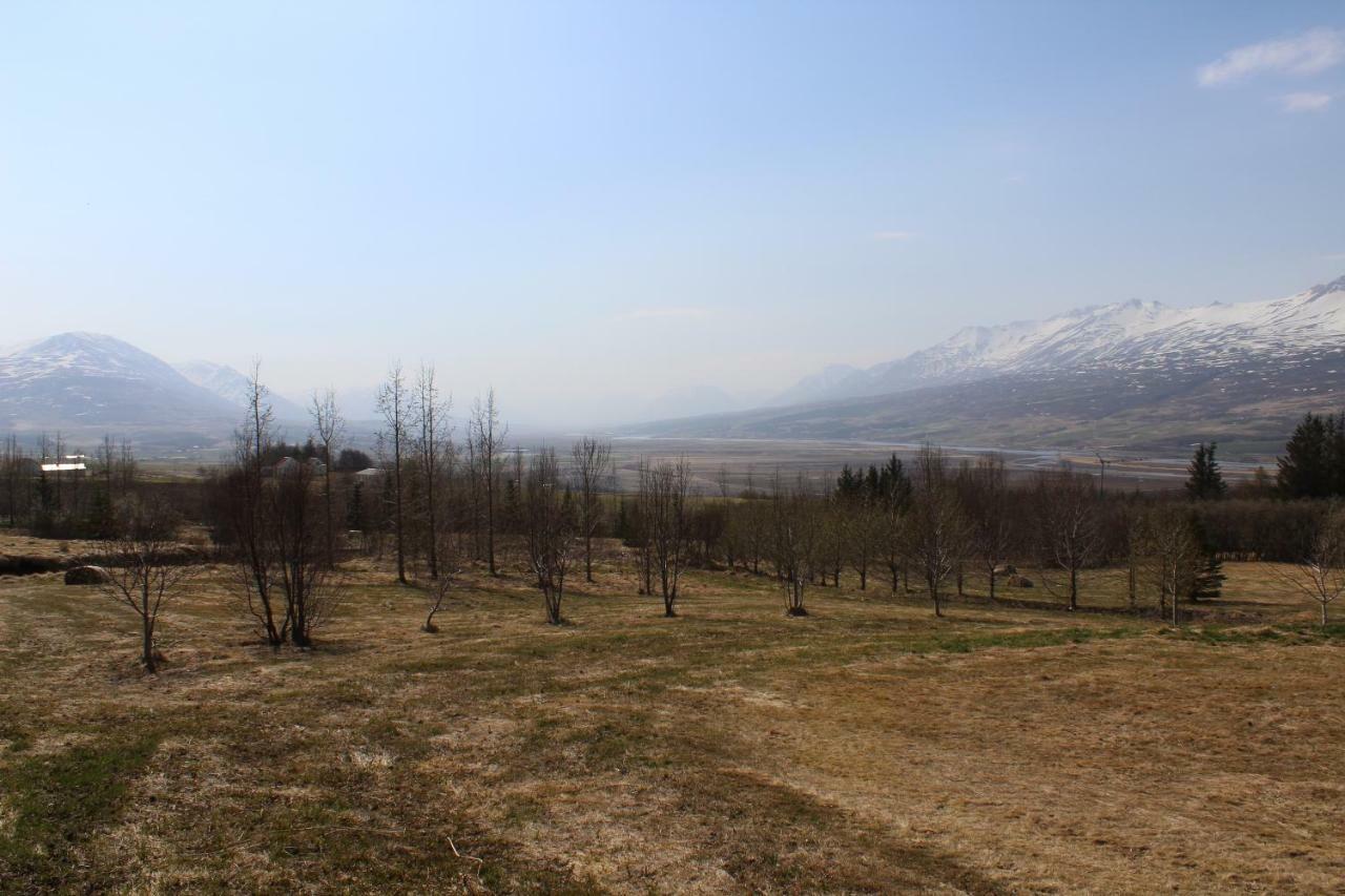 Hotel North Akureyri Dış mekan fotoğraf